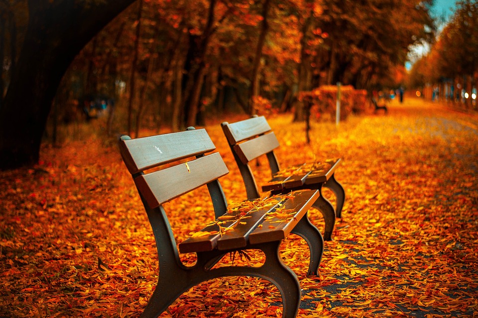 benches-560435_960_720